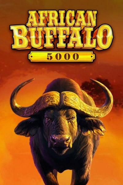 Portada de African Buffalo 5000 en Casinova